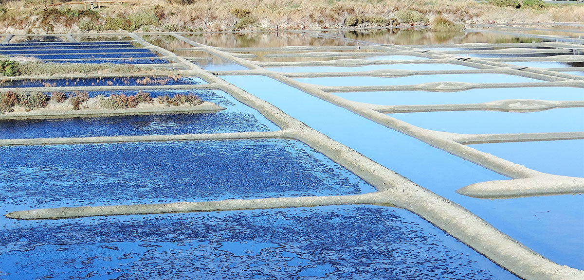 evaporation ponds