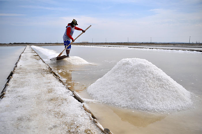 A complete guide to the salt industry