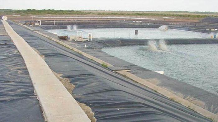 LDPE geomembrane VS LLDPE geomembrane