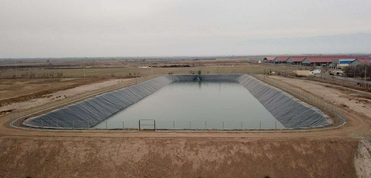 عوامل افزایش عمر ژئوممبران