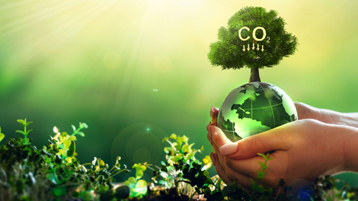 منظور از رد پای کربن چیست؟