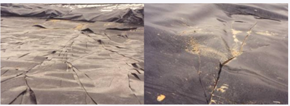 ترگ خوردگی ژئوممبران ناشی از تنش محیطی