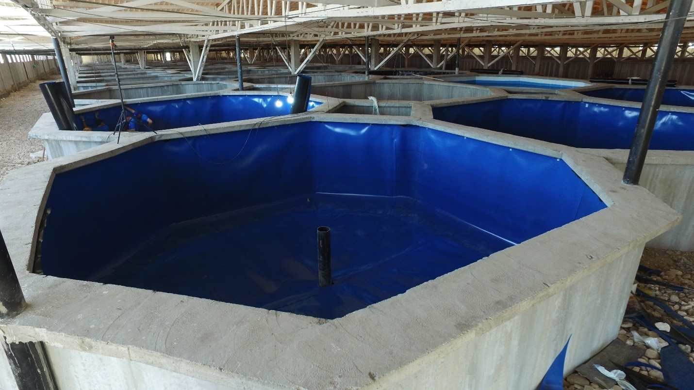 ژئوممبران HDPE در حال نصب برای آب‌بندی استخر پرورش آبزیان