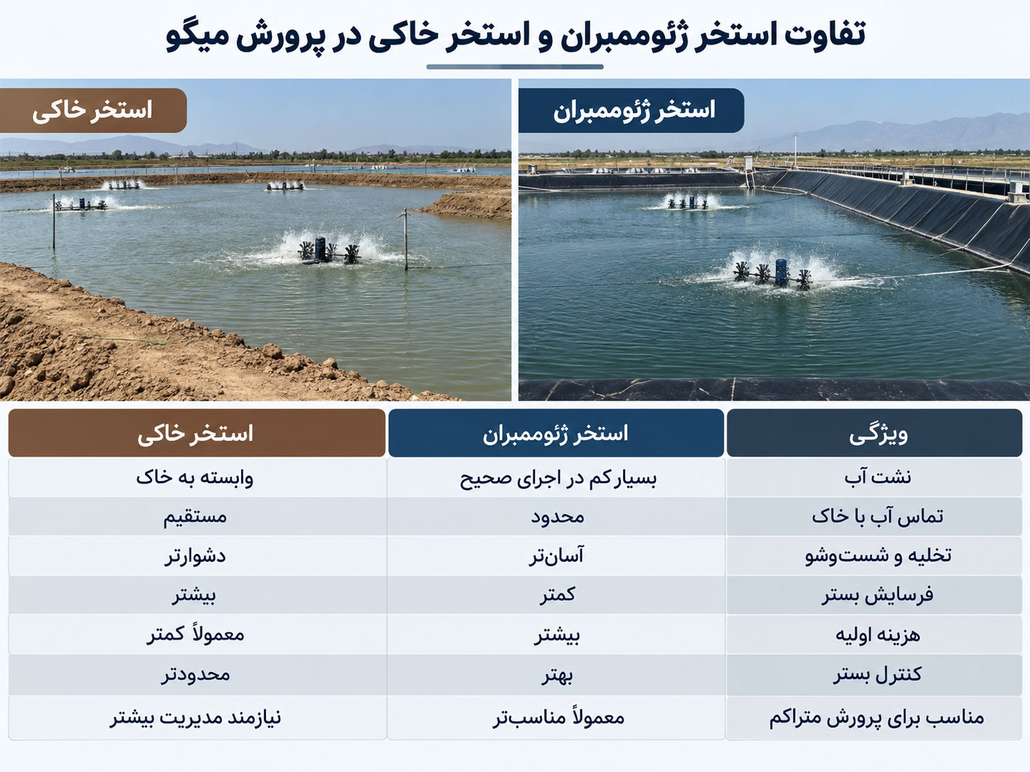 استخر ژئوممبران برای پرورش میگو چه تفاوتی با استخر خاکی دارد؟